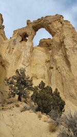 20250101_134028.jpg 20250101_134028.jpg