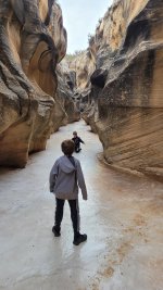 20250101_113738.jpg 20250101_113738.jpg