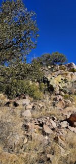 20250116_110153_copy_349x747.jpg 20250116_110153_copy_349x747.jpg