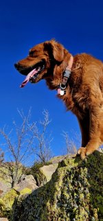 20250116_110431_copy_349x747.jpg 20250116_110431_copy_349x747.jpg