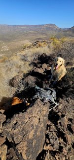 20250206_112140_copy_1200x2570.jpg 20250206_112140_copy_1200x2570.jpg