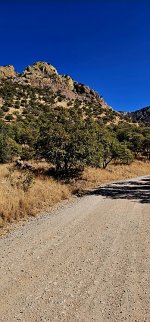 20250123_113248_copy_349x747.jpg 20250123_113248_copy_349x747.jpg