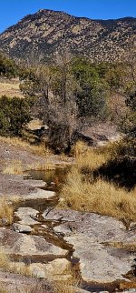 20250123_110851_copy_349x747.jpg 20250123_110851_copy_349x747.jpg