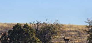 20250123_090313_copy_1600x747.jpg 20250123_090313_copy_1600x747.jpg