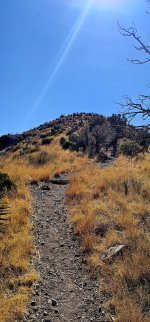 20250123_121048_copy_1200x2570.jpg 20250123_121048_copy_1200x2570.jpg