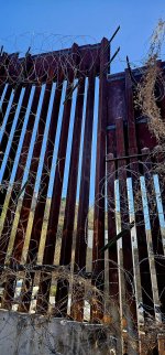 20250126_134236_copy_1200x2570.jpg 20250126_134236_copy_1200x2570.jpg