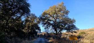 20250127_091345_copy_1200x560.jpg 20250127_091345_copy_1200x560.jpg