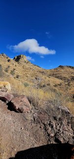 20250127_101026_copy_1200x2570.jpg 20250127_101026_copy_1200x2570.jpg