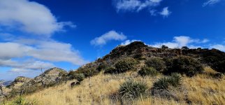 20250127_110244_copy_1200x560.jpg 20250127_110244_copy_1200x560.jpg