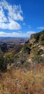 20250127_105653_copy_1200x2570.jpg 20250127_105653_copy_1200x2570.jpg