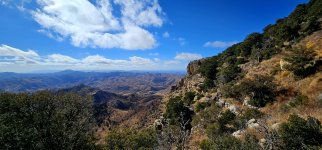 20250127_105644_copy_1200x560.jpg 20250127_105644_copy_1200x560.jpg