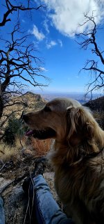 20250127_121725_copy_1200x2570.jpg 20250127_121725_copy_1200x2570.jpg