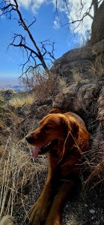 20250127_121714_copy_1200x2570.jpg 20250127_121714_copy_1200x2570.jpg