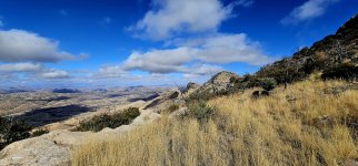 20250127_110249_copy_1200x560.jpg 20250127_110249_copy_1200x560.jpg