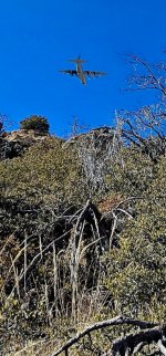 Screenshot_20250210_201330_Gallery_copy_1200x2573.jpg Screenshot_20250210_201330_Gallery_copy_1200x2573.jpg