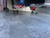 IMG_9483.jpeg