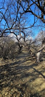 20250128_095303(0)_copy_349x747.jpg 20250128_095303(0)_copy_349x747.jpg