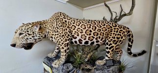 20250128_111319_copy_1600x747.jpg 20250128_111319_copy_1600x747.jpg