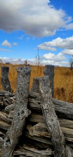 20250128_114100_copy_349x747.jpg 20250128_114100_copy_349x747.jpg