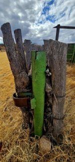 20250128_114140_copy_349x747.jpg 20250128_114140_copy_349x747.jpg