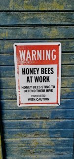 20250128_114359_copy_349x747.jpg 20250128_114359_copy_349x747.jpg