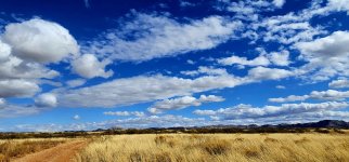 20250128_125235_copy_1600x747.jpg 20250128_125235_copy_1600x747.jpg