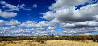 20250128_125547_copy_1200x560.jpg 20250128_125547_copy_1200x560.jpg