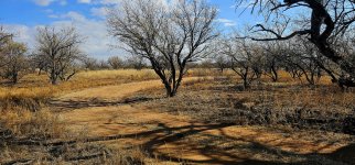 20250129_101709_copy_1200x560.jpg 20250129_101709_copy_1200x560.jpg