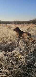 20250130_075943_copy_1200x2570.jpg 20250130_075943_copy_1200x2570.jpg