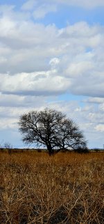 20250129_125721_copy_1200x2570.jpg 20250129_125721_copy_1200x2570.jpg