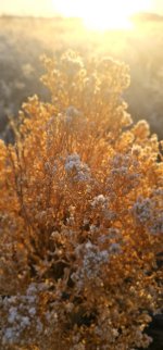 20250130_074428_copy_1200x2570.jpg 20250130_074428_copy_1200x2570.jpg