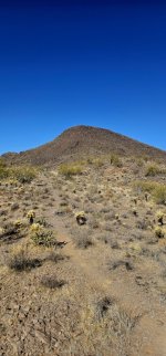 20250206_103001_copy_349x747.jpg 20250206_103001_copy_349x747.jpg