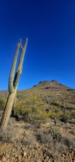 20250206_093615_copy_349x747.jpg 20250206_093615_copy_349x747.jpg