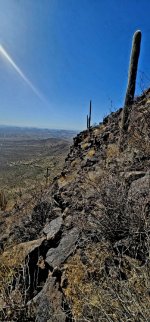 20250206_113327_copy_349x747.jpg 20250206_113327_copy_349x747.jpg