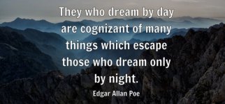 Screenshot_20250220_132534_Gallery_copy_1600x746.jpg Screenshot_20250220_132534_Gallery_copy_1600x746.jpg