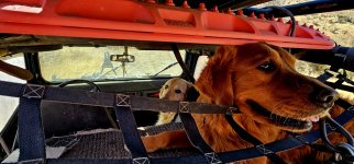 20250209_140053_copy_1600x747.jpg 20250209_140053_copy_1600x747.jpg