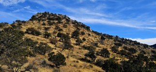 20250209_145208_copy_1600x747.jpg 20250209_145208_copy_1600x747.jpg