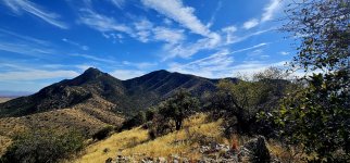 20250209_141634_copy_1600x747.jpg 20250209_141634_copy_1600x747.jpg