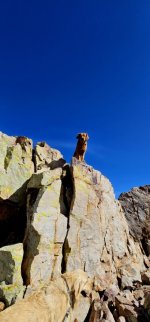 20250209_143304_copy_349x747.jpg 20250209_143304_copy_349x747.jpg