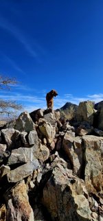 20250209_143212_copy_349x747.jpg 20250209_143212_copy_349x747.jpg