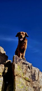 20250209_143316_copy_349x747.jpg 20250209_143316_copy_349x747.jpg