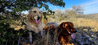 20250209_141721_copy_1600x747.jpg 20250209_141721_copy_1600x747.jpg