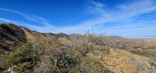 20250209_141621_copy_1600x747.jpg 20250209_141621_copy_1600x747.jpg