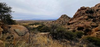 20250210_093902_copy_1200x560.jpg 20250210_093902_copy_1200x560.jpg