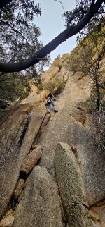 20250210_101934_copy_1200x2570.jpg 20250210_101934_copy_1200x2570.jpg