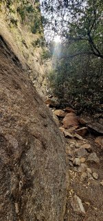 20250210_100019_copy_1200x2570.jpg 20250210_100019_copy_1200x2570.jpg