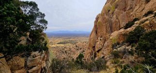 20250210_103817_copy_1200x560.jpg 20250210_103817_copy_1200x560.jpg