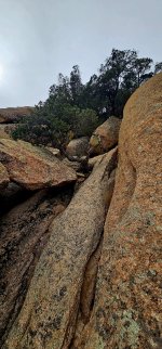 20250210_105357_copy_1200x2570.jpg 20250210_105357_copy_1200x2570.jpg