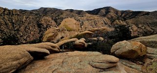 20250210_105350_copy_1200x560.jpg 20250210_105350_copy_1200x560.jpg