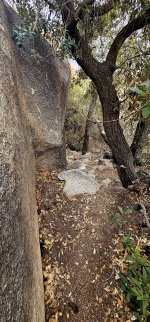 20250210_095616_copy_1200x2570.jpg 20250210_095616_copy_1200x2570.jpg